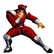 M Bison