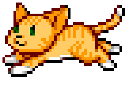 orange cat animation